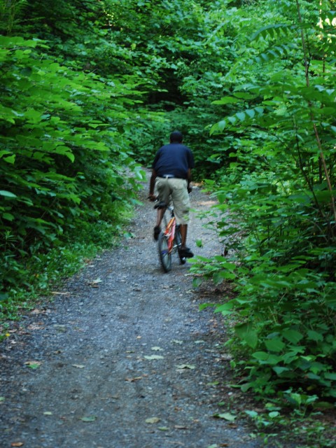 Mountain Biking near Forbidden Drive