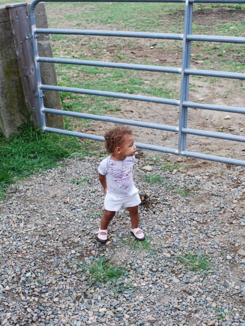 Little Girl in Deep Observation