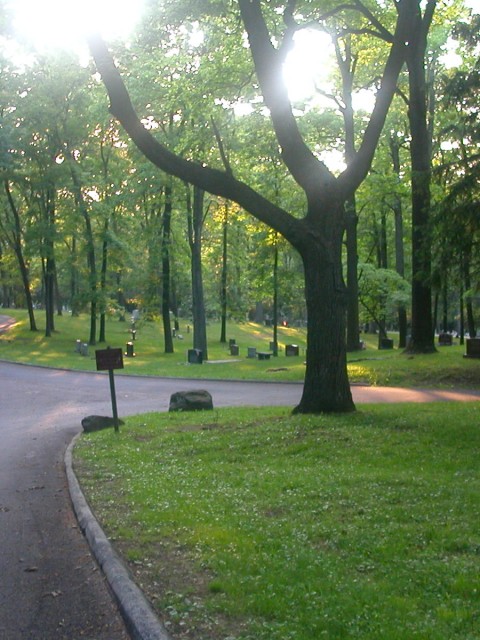Crossroads behind Washington's Chapel in Valley Forge