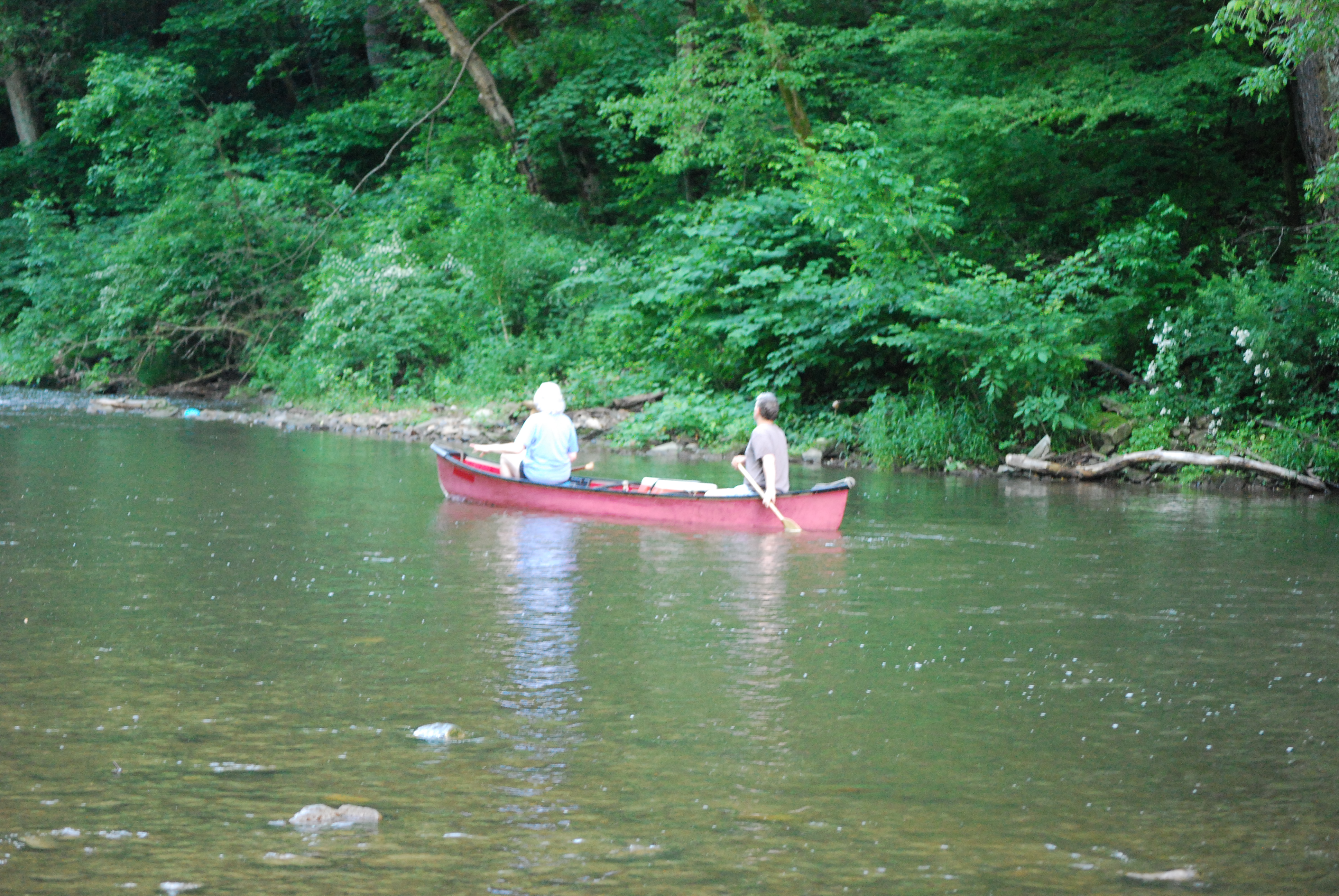A peaceful canoe ride?
