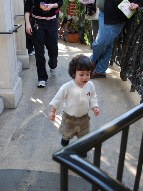 Curious child