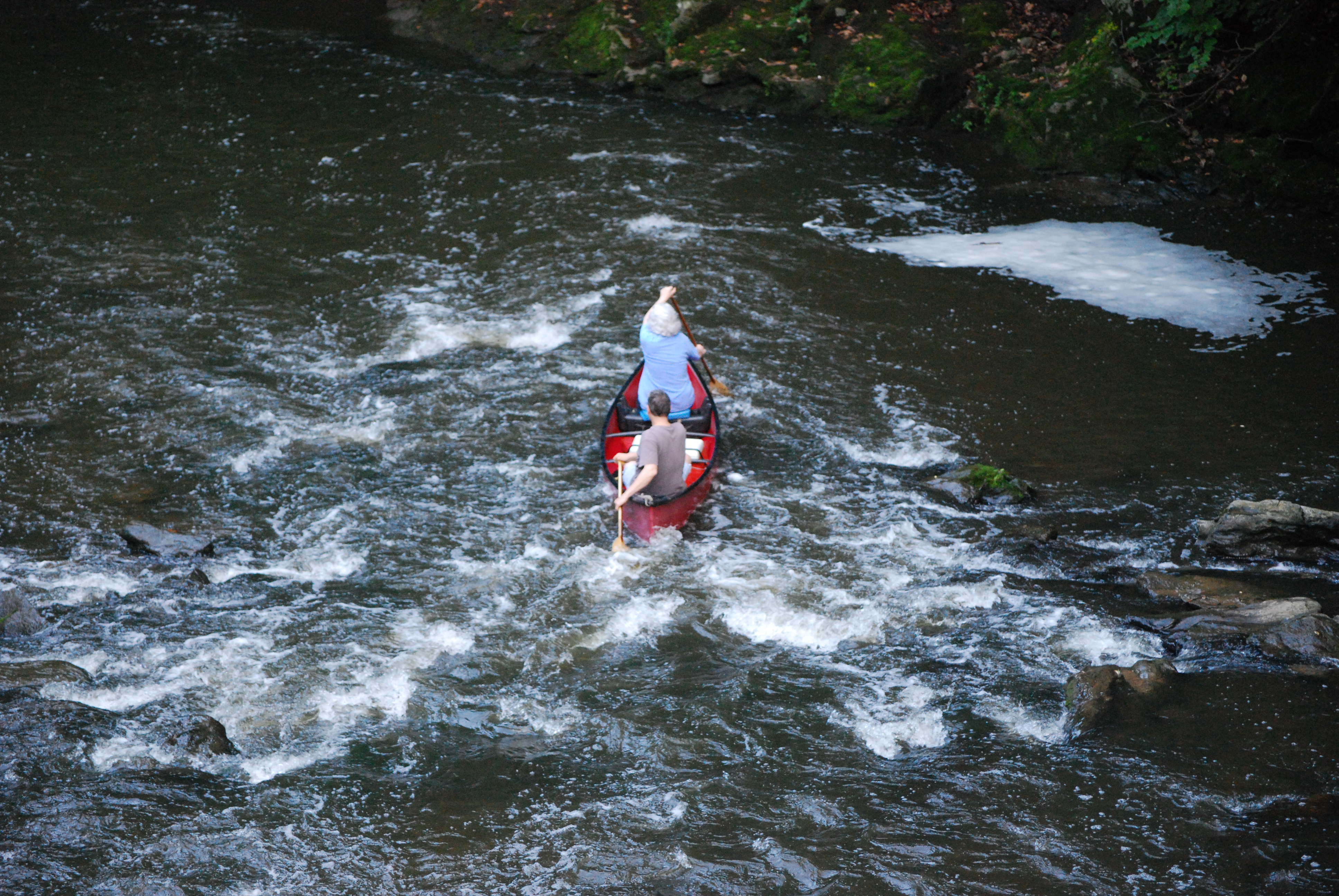 Navigating the Rapids of the Wissahickon